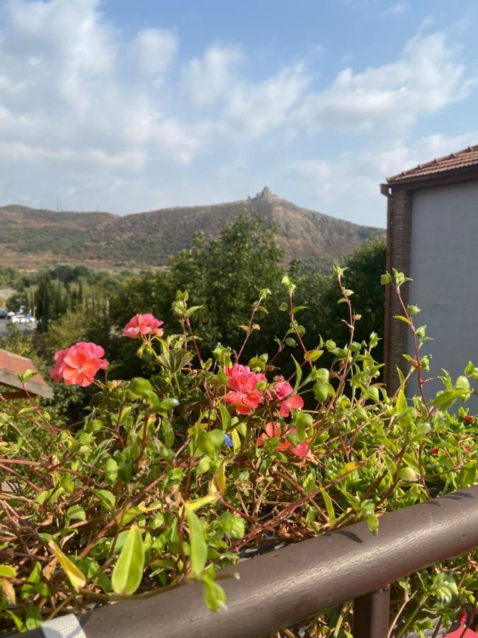 Tatin - Hotel & Cafe In Mtskheta Ngoại thất bức ảnh
